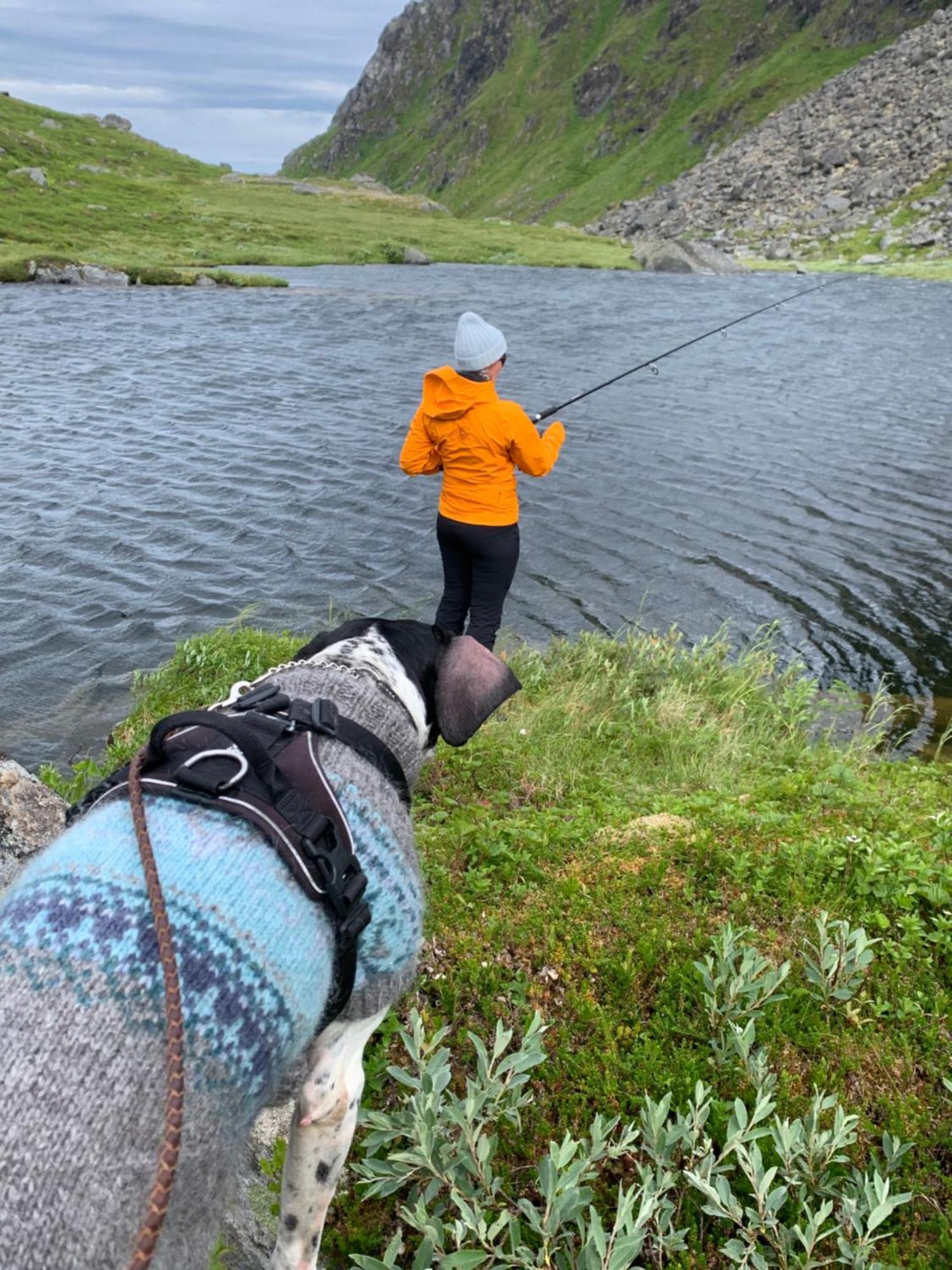Liten Leilighet Inkludert Frokost Valberg Экстерьер фото